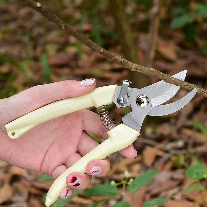 Gardening Tools Heavy Duty - Oszczędzające Pracę Nożyce Ogrodowe, Profesjonalne Nożyce