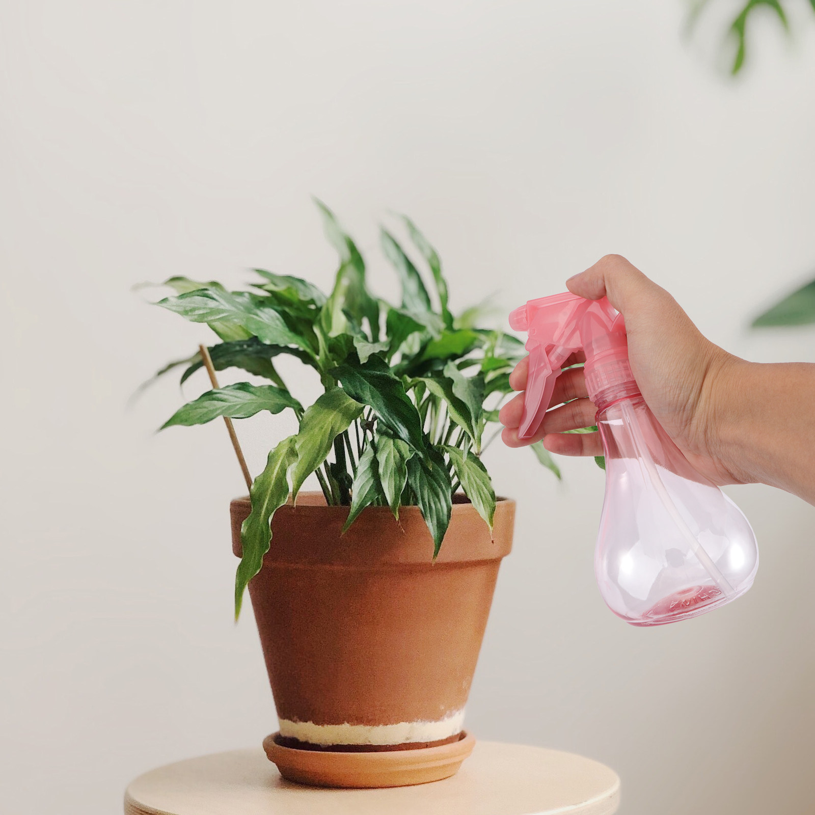 1 zestaw mini narzędzi do sadz – Gardening Tools Kit recenzja i cena