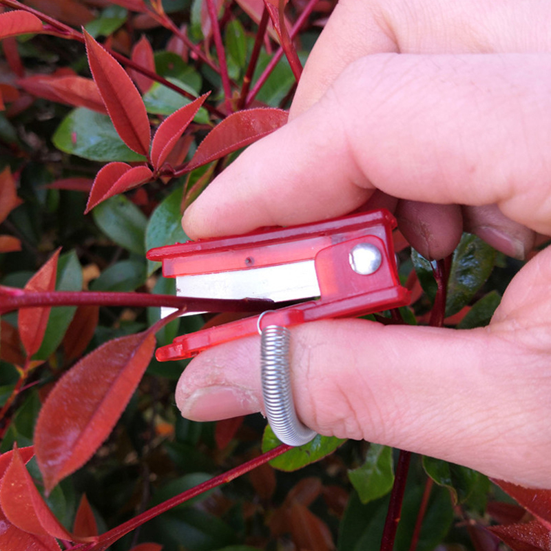 1/2/3 szt. Separator noża do w – Harvest Knife Garden recenzja i cena