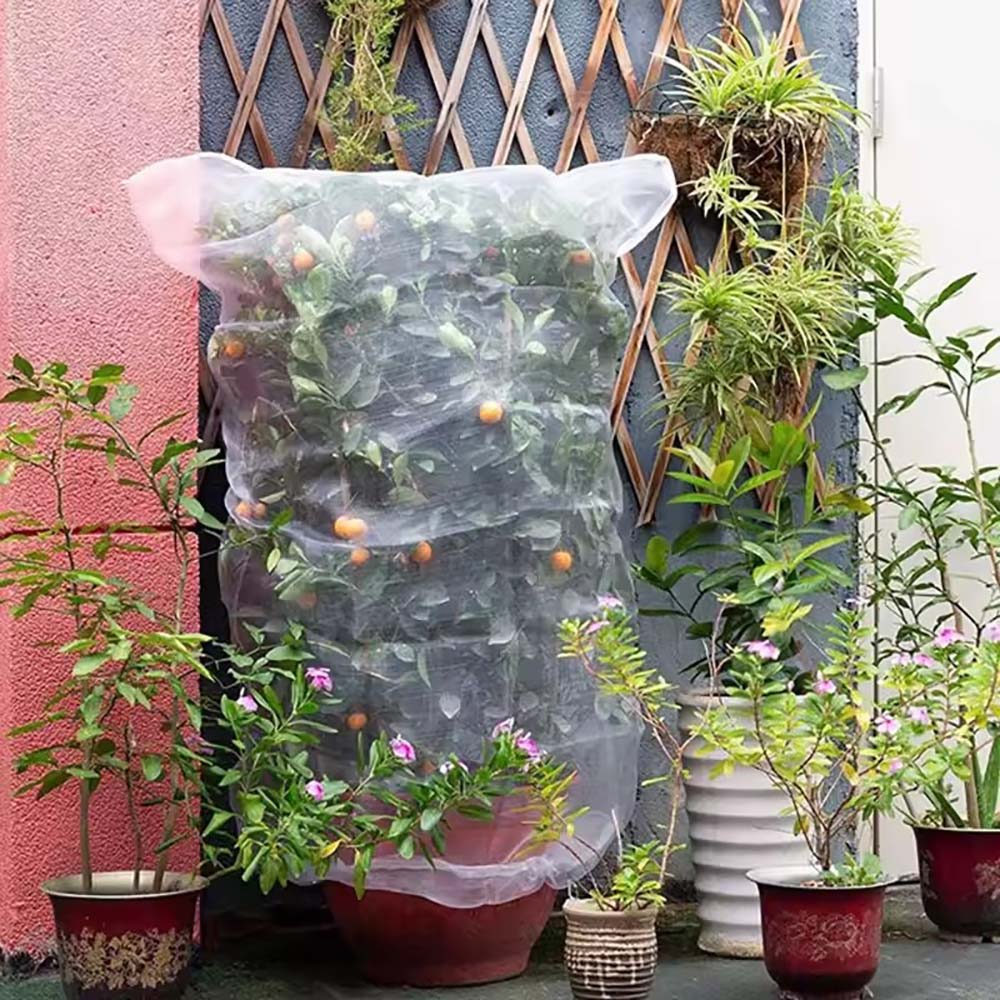Nowa siatka ochronna na roślin – Garden Netting Cover recenzja i cena