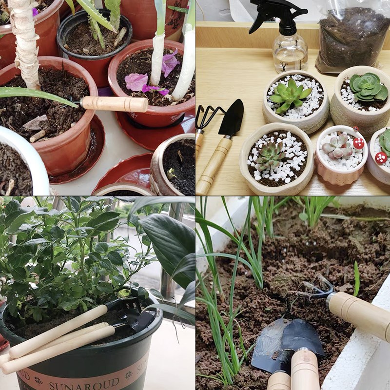 3 szt./1 zestaw Mini narzędzia – Gardening Tools Kit recenzja i cena