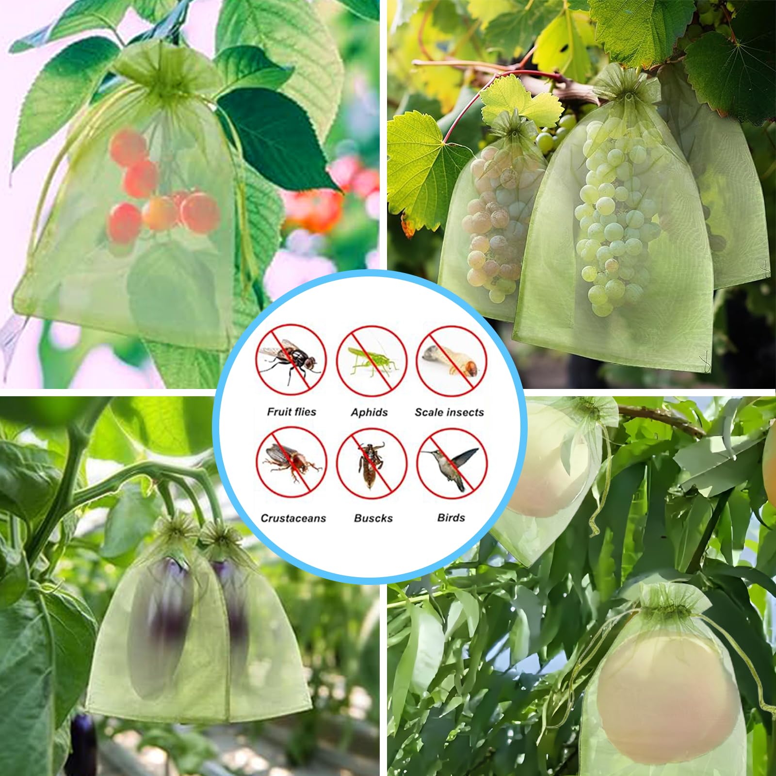 Skuteczna siatka przeciw ptako – Garden Netting Cover recenzja i cena