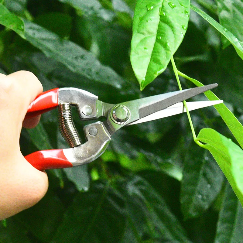 Nożyce do przycinania ze stali – Gardening Tools For Women recenzja i cena