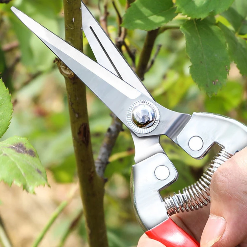 Nożyce do przycinania ze stali – Gardening Tools For Women recenzja i cena