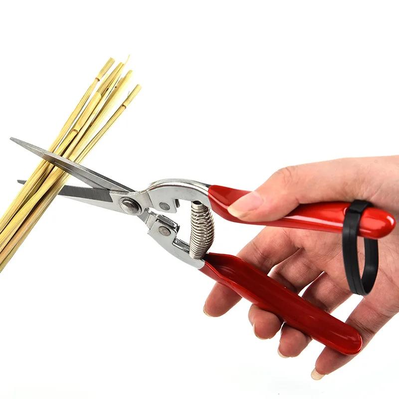 Nożyce do przycinania ze stali – Gardening Tools For Women recenzja i cena